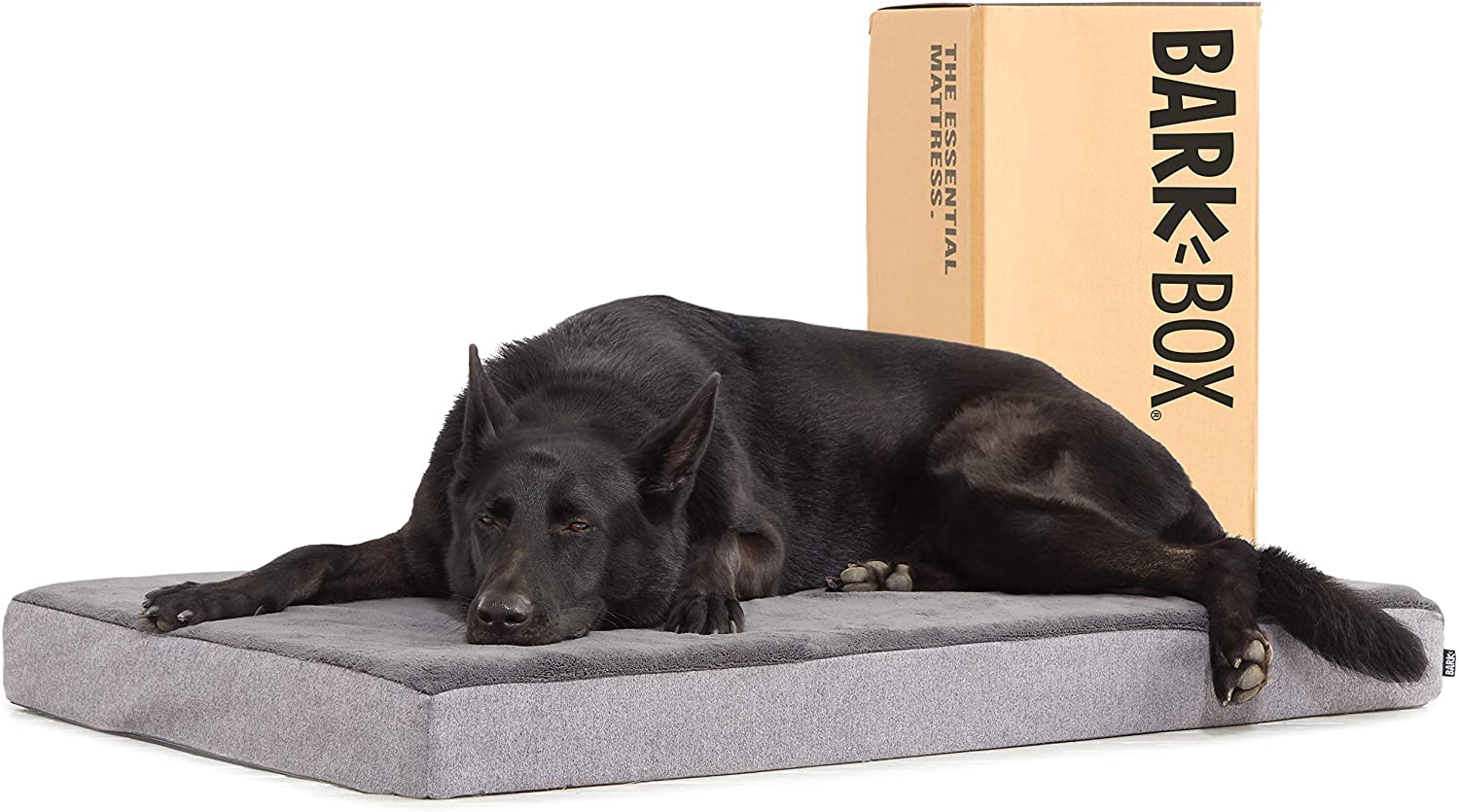 Best Dog Bed for Dogs That Chew Tough Beds for Tough Chewers