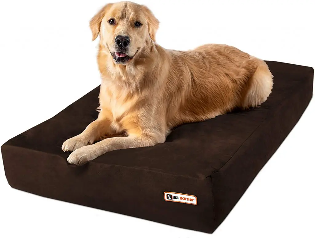 Best Dog Bed for Dogs That Chew Tough Beds for Tough Chewers