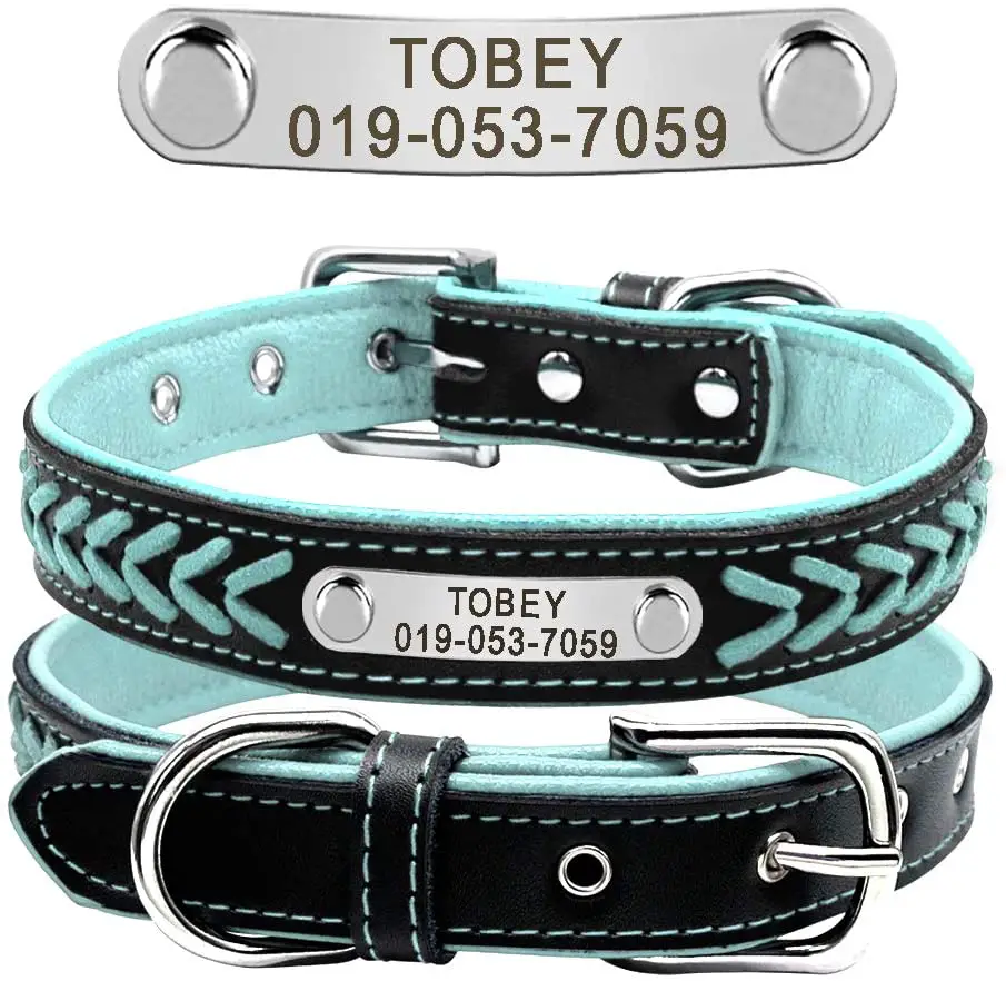 border collie collar