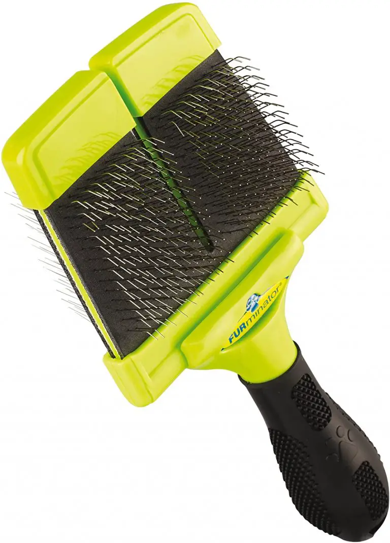 Best Brush For Border Collie My Top 3 Picks + Buying Guide
