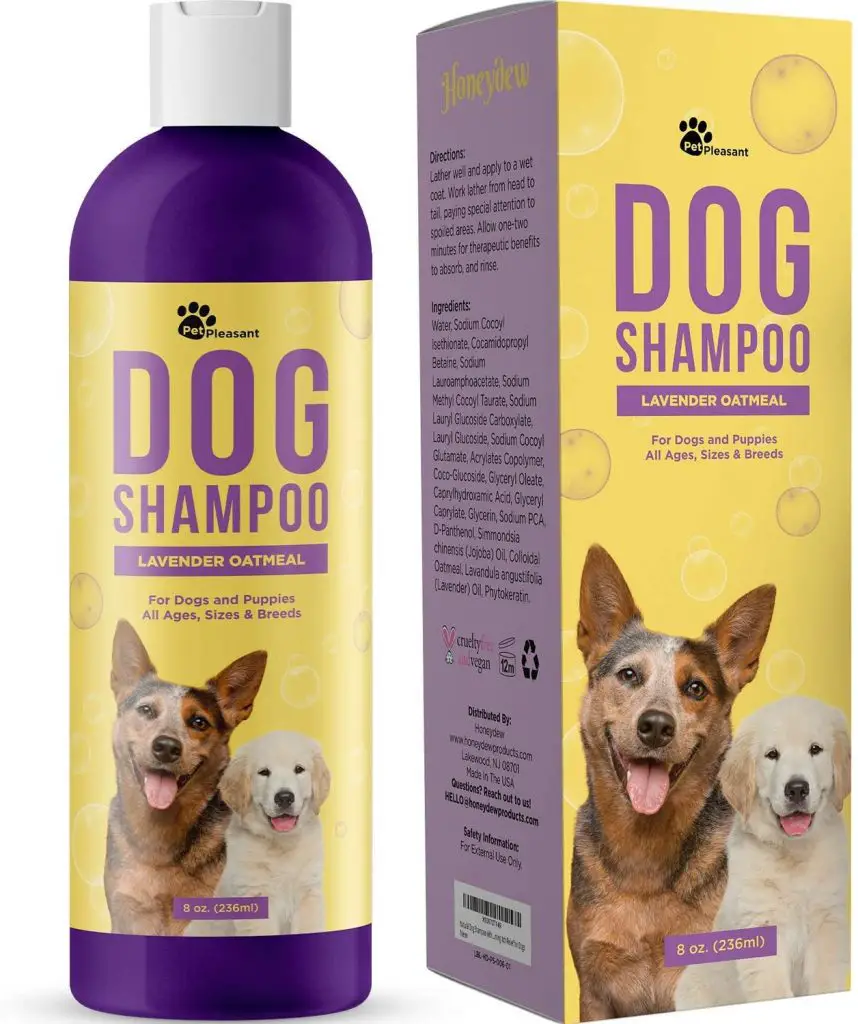 7 of the Best Shampoo for Border Collie