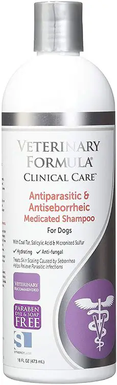best antibacterial and antifungal dog  shampoo
