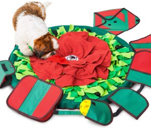 50+ Brain Boosting Interactive Puzzle Toys for Dogs - Border Collie Blog