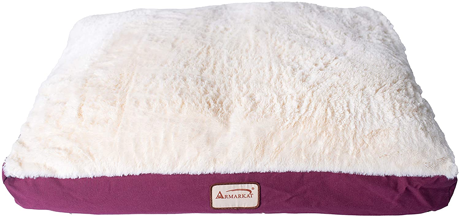 Best Dog Bed for Border Collie Our List of 8! BorderCollieTalk