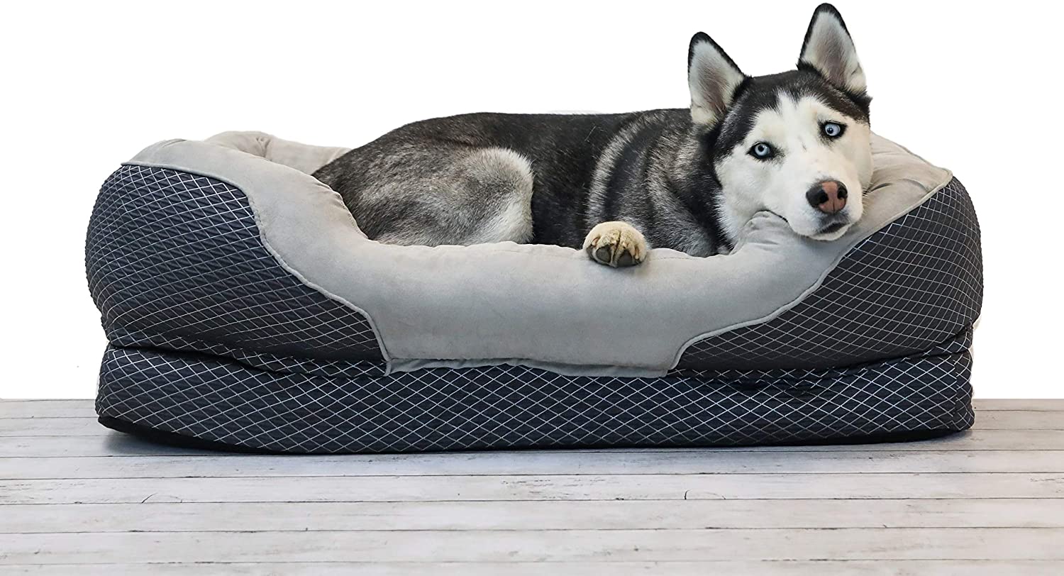 Best Dog Bed for Border Collie Our List of 8! BorderCollieTalk