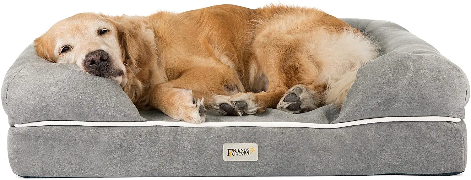 Best Dog Bed for Border Collie Our List of 8! BorderCollieTalk