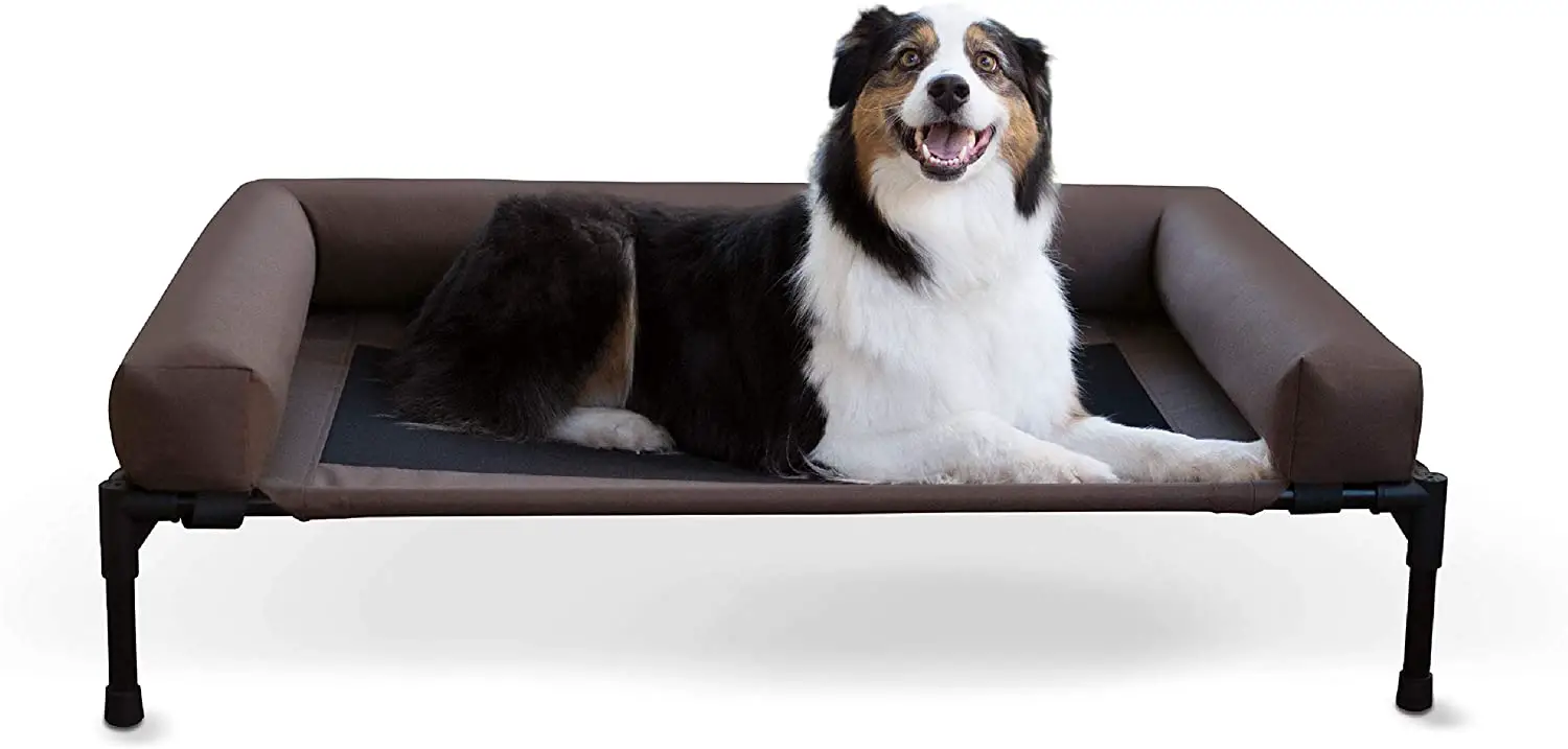 Best Dog Bed for Border Collie Our List of 8