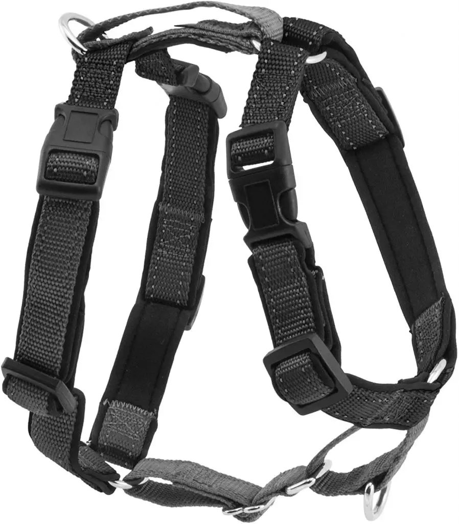 best harnesses for Border Collies  