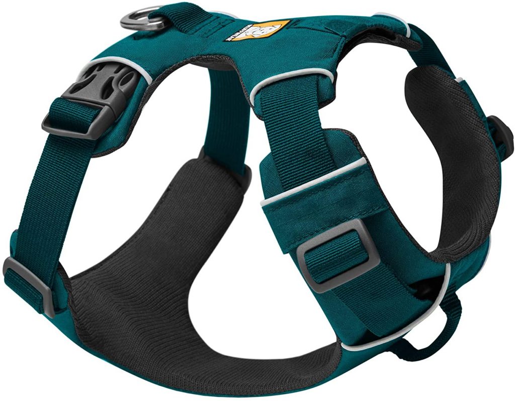 10 Best Harnesses For Border Collies Who Love The Outdoors