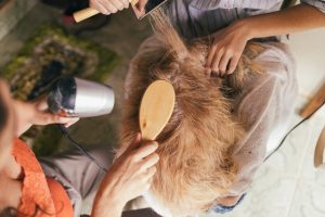 Brushing a dog