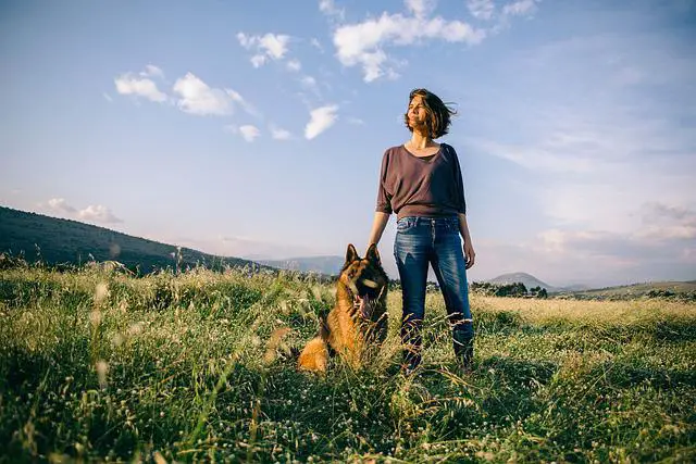 owner spending time with German Shepherd