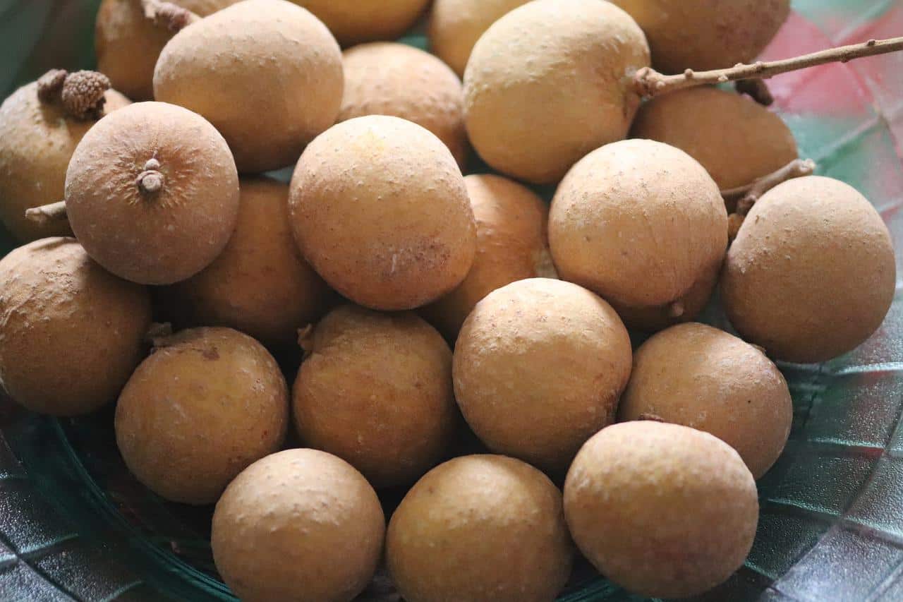 benefits of eating longan