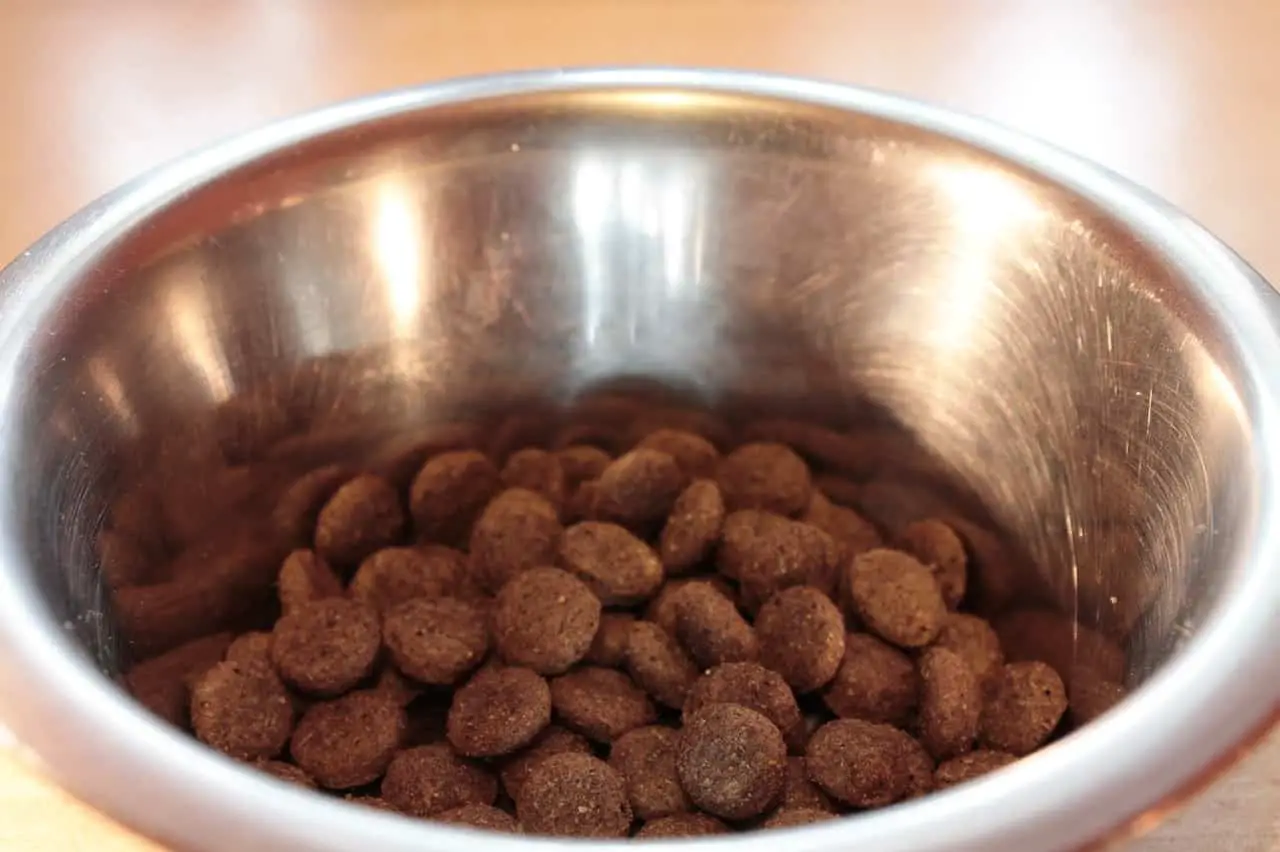 healthy treats for dogs