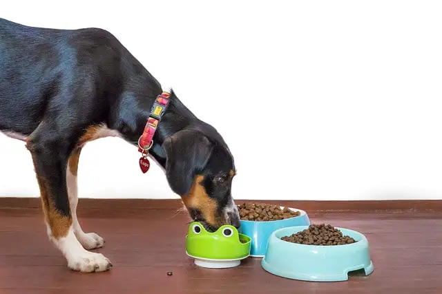 high quality dog food for your mix breed