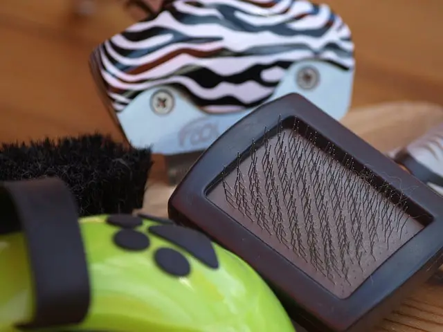 grooming tools for your dog