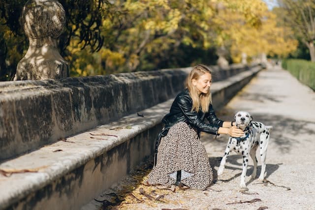 Dalmatian with its owner