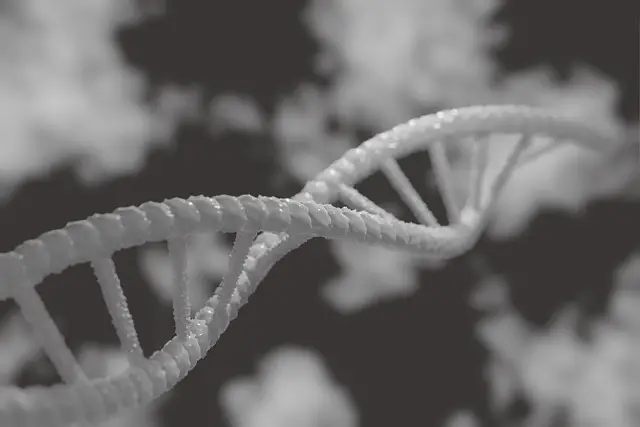 the impact of genetics in the disease